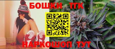 дурь Сланцы