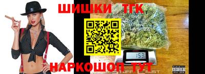 дмт Славгород