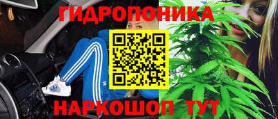дурь Сланцы
