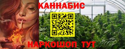 дмт Славгород