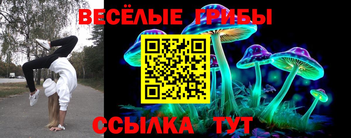 Белгород  Псилоцибиновые грибы мицелий  Вход с VPN 